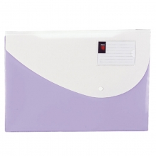 得力（deli）5506 实色按扣文件袋/纽扣袋/资料袋 颜色随机 10个/袋