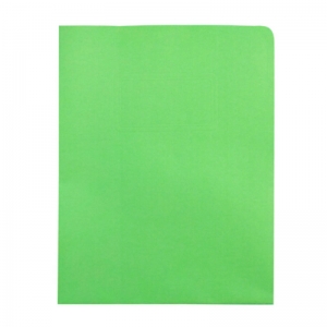 富得快（FUDEK）56201 纸质文件夹/A4纸文件套 A4 双插袋 50个/包 绿色