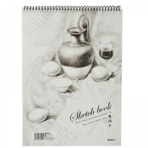 晨光（M&G）APYMB135 速写本/线圈画画本/美术绘画专用纸 16K 40页