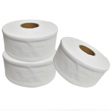 派洁士（paijieshi）600克 珍宝卷纸/大盘纸/大卷卫生纸/手纸 600g*16卷/箱