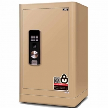 得力（deli）4068 电子防盗密码保管箱保险柜 指纹+密码双重防盗国标保险箱 高72cm 金色